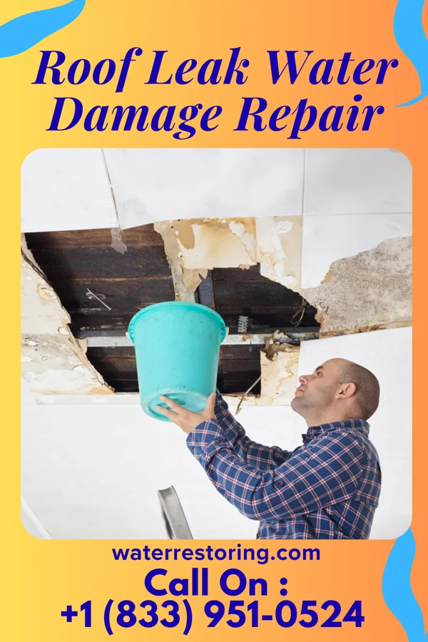 Roof Leak Water Damage Repair in Elberton, GA